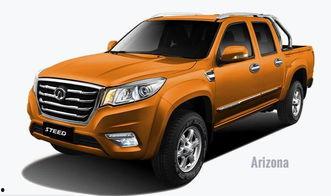 皮卡德罗,揭秘传奇赌徒的传奇人生