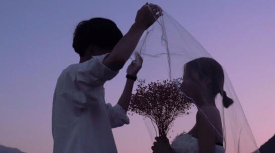 别指望我会尖叫,揭秘内心深处的平静力量