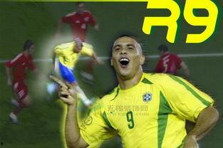 退役球王,辉煌岁月与传承之路