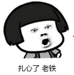 一本正经,揭秘严肃话题背后的趣味与智慧